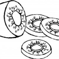okul öncesinde sebze ve meyveler  (21)