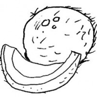 okul öncesinde sebze ve meyveler  (23)