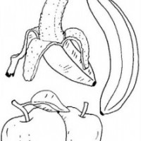 okul öncesinde sebze ve meyveler  (24)