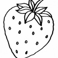 okul öncesinde sebze ve meyveler  (35)