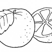 okul öncesinde sebze ve meyveler  (39)