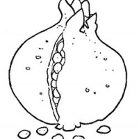 okul öncesinde sebze ve meyveler  (6)