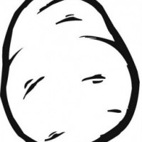 okul öncesinde sebzeler ve meyveler (1)