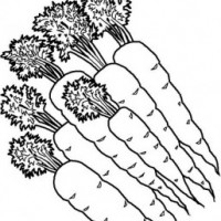 okul öncesinde sebzeler ve meyveler (10)