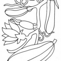 okul öncesinde sebzeler ve meyveler (12)