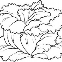 okul öncesinde sebzeler ve meyveler (13)