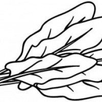 okul öncesinde sebzeler ve meyveler (17)