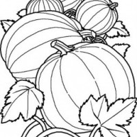 okul öncesinde sebzeler ve meyveler (18)