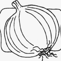 okul öncesinde sebzeler ve meyveler (3)