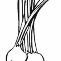 okul öncesinde sebzeler ve meyveler (5)