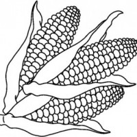 okul öncesinde sebzeler ve meyveler (6)