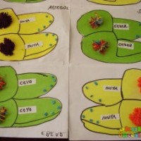 Okul Öncesinde Terlik Çalişması (10)