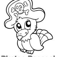 piraten-papagei-text