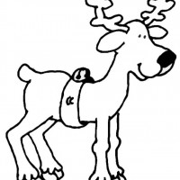 reindeer-6