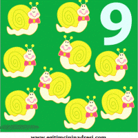 renkli-hayvanlar-9-rakami (1)