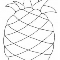 sebze ,meyveler ve çorba(41)