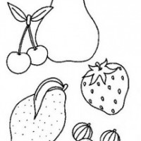 sebze ,meyveler ve çorba(42)