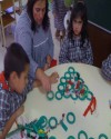 çam ağacı