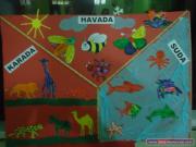 hayvan (28)