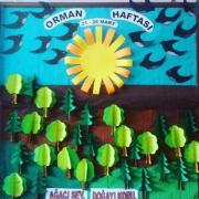 orman haftası (92)