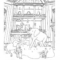 Müzeler-Haftası-belirli-gün-ve-haftalar-boyama-sayfası-4