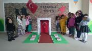 çanakkale zaferi  (43)
